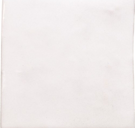 Witte tegels - Zelij Blanco - Glossy