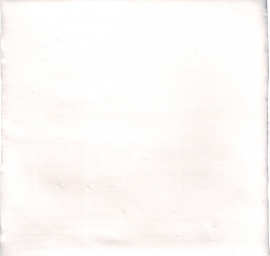 Tegels 15x15 - Retiro Blanco - Mat